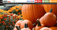 Desktop Screenshot of 3guysfrombrooklyn.com
